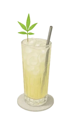 The Crocodile's Cucumber